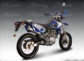 2009 Skyteam ST250 SM photo